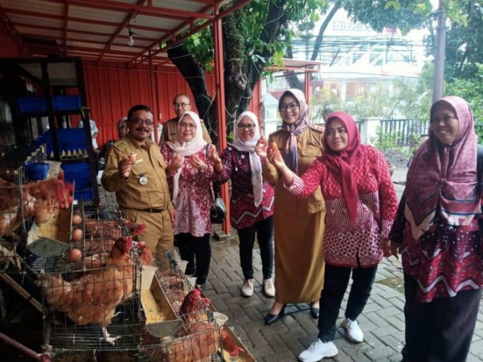 Ternak Ayam Petelur di Halaman Kantor, Cara Camat Lohbener Tingkatkan ... Ternak ayam petelur di Anak Ratu Aji, Lampung Tengah