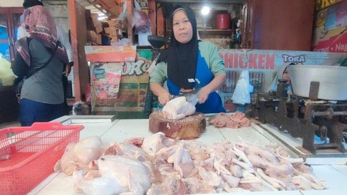 Harga Ayam Broiler di Pangandaran Naik Jelang Ramadhan, Penjual Anggap ... Ayam afkir di Cijulang, Pangandaran