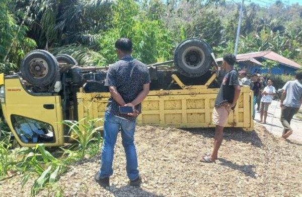 Ternak ayam petelur di Welak, Manggarai Barat
