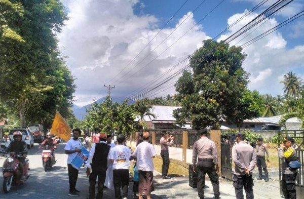 Menentukan Modal Ternak Ayam Petelur 100 ekor