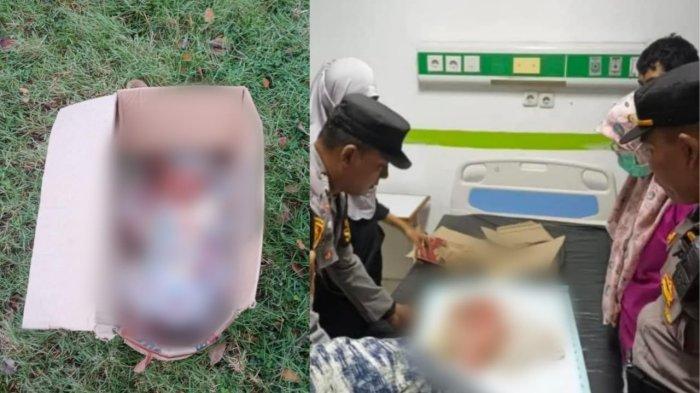 Daun penggemuk ayam di Lasalepa, Muna