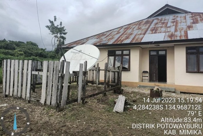 Daun penggemuk ayam di Mimika Barat Jauh, Kab. Mimika