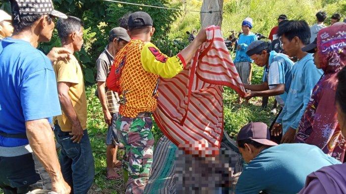 Daun penggemuk ayam di Bolano Lambunu, Paringi Moutong
