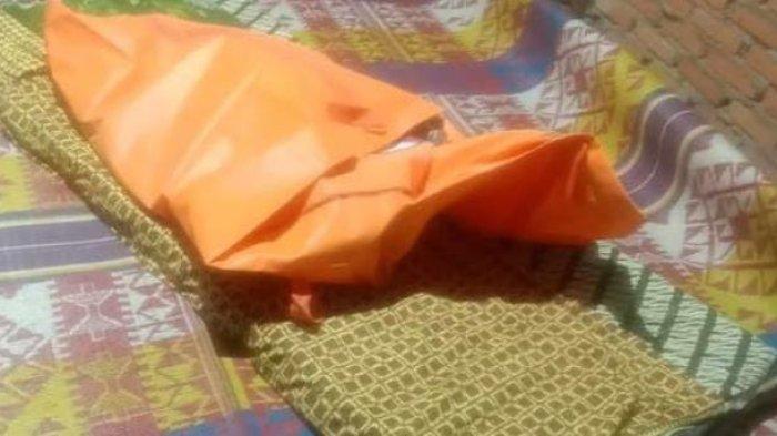 Seorang Pria di Tebo Ditemukan Meninggal dalam Kawasan Hutan Lindung ... Ayam layer di VII Koto Ilir, Kabupaten Tebo