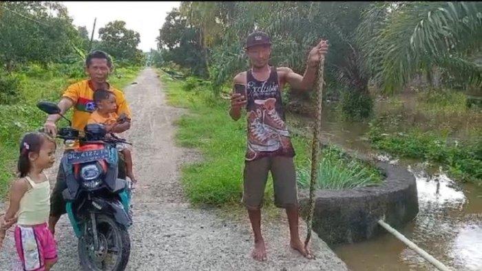 Daun penggemuk ayam di Pangale, Mamuju Tengah