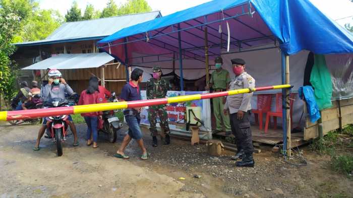 Daun penggemuk ayam di Kurra, Tana Toraja