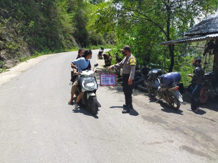 Daun penggemuk ayam di Bonggakaradeng, Tana Toraja