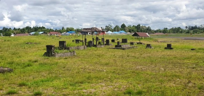 Hitung hitungan ternak ayam petelur Ternak ayam petelur di Kouh, Kab. Boven Digoel