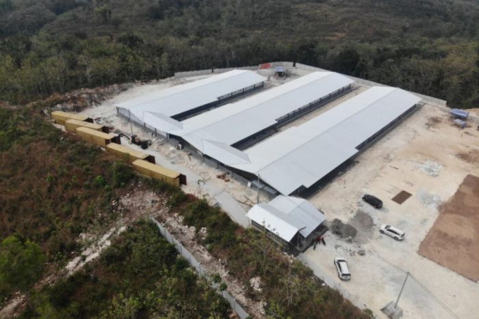 Peternakan indukan ayam broiler terkomputerisasi dibangun di Wonogiri ... Budidaya ternak ayam di Giritontro, Wonogiri