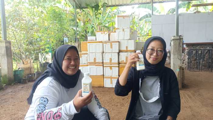 Mau Wisata Perah Susu Kambing?. Kabupaten Ciamis punya Pure Fresh Dairy ... Susu kambing di Sukamantri, Ciamis