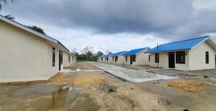 Daun penggemuk ayam di Napabalano, Muna