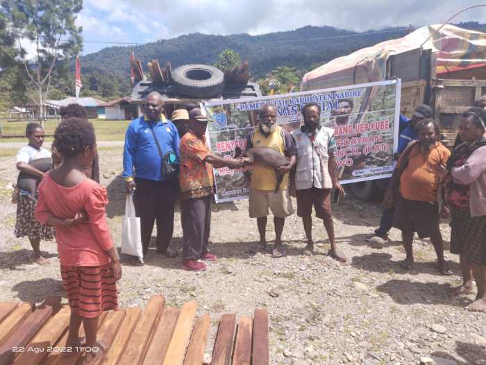 Daun penggemuk ayam di Siriwo, Kab. Nabire