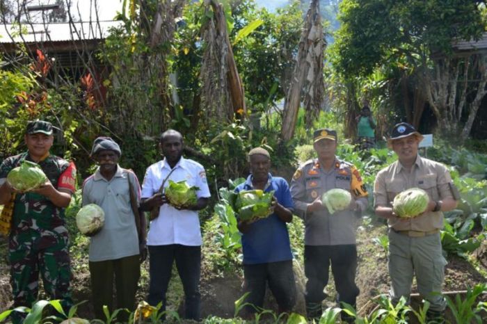 Resep Ayam Daun Kemangi Pedesnya Mantul | DAICOOK - YouTube Daun penggemuk ayam di Mapia Tengah, Kab. Dogiyai