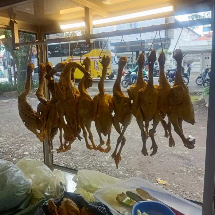 Ayam Ternak di Wajak, Malang