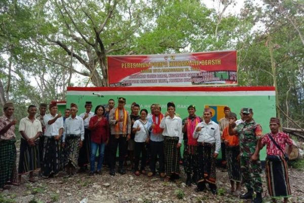 Daun penggemuk ayam di Sambi Rampas, Manggarai Timur