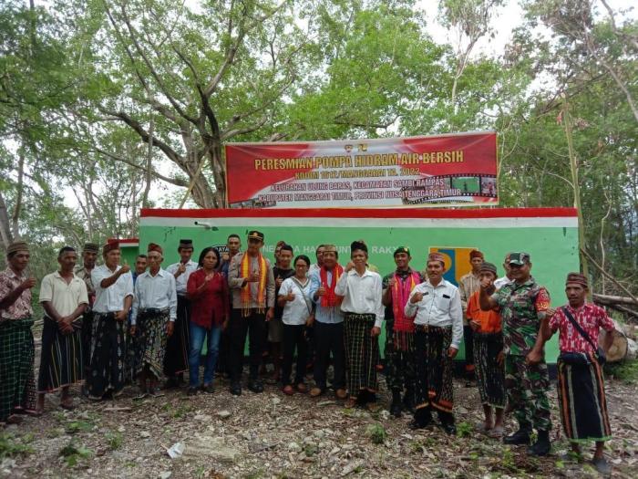 Daun penggemuk ayam di Sambi Rampas, Manggarai Timur