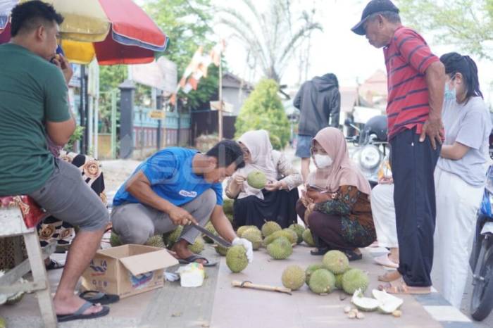 Lensa Sekata: Durian Lampini Bintang Ara Tabalong Ramai Diburu Warga ... Daun penggemuk ayam di Bintang Ara, Tabalong
