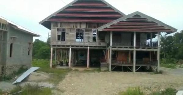 Daun penggemuk ayam di Wotu, Luwu Timur