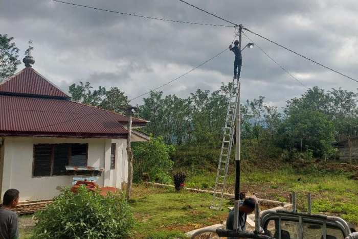 Ternak Ayam Kampung Pemula di Air Besi, Bengkulu Utara Peluang Emas ... Daun penggemuk ayam di Basse Sangtempe, Luwu