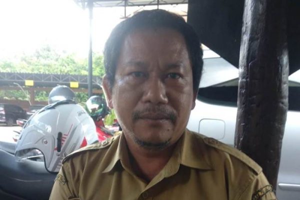 Daun penggemuk ayam di Sebangau Kuala, Pulang Pisau