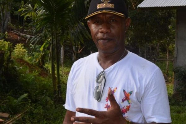 Daun penggemuk ayam di Teluk Ampimoi, Kab. Kepulauan Yapen