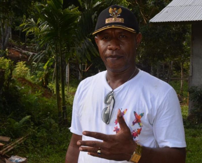 Daun penggemuk ayam di Teluk Ampimoi, Kab. Kepulauan Yapen