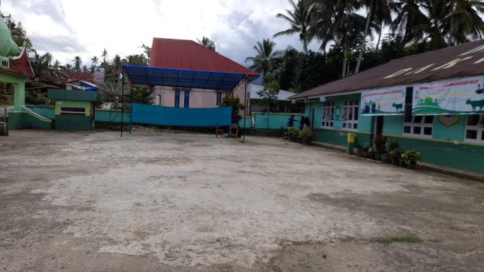 Ayam ternak di Lintau Buo, Kabupaten Tanah Datar