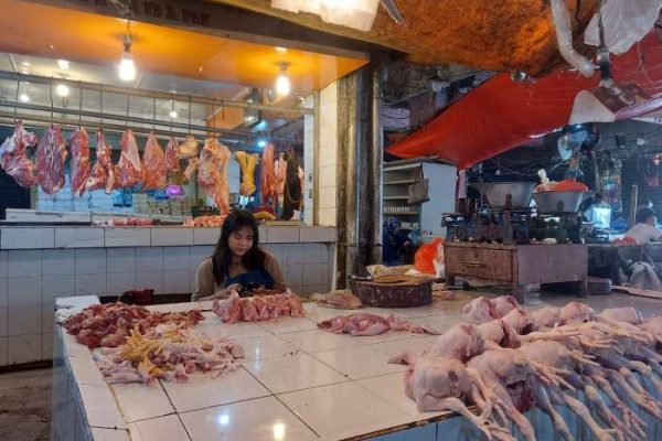 Harga Ayam Potong Belum Normal Pasca Idul Adha, Pemkot Sukabumi Beri ...