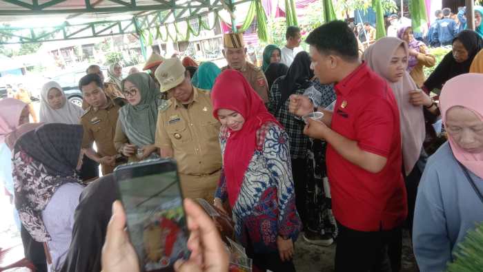 Budidaya ayam di Belalau, Lampung Barat