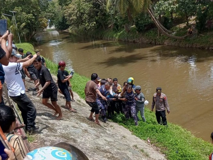 Daun penggemuk ayam di Latambaga, Kolaka