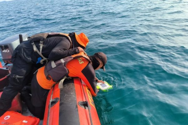 ANALISA TERNAK AYAM PETElUR 100 EKOR UNTUK PEMULA