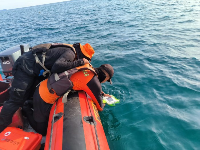 ANALISA TERNAK AYAM PETElUR 100 EKOR UNTUK PEMULA ANALISA TERNAK AYAM PETElUR 100 EKOR UNTUK PEMULA