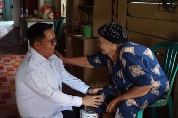 Daun penggemuk ayam di Anggana, Kutai Kartanegara