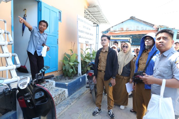 Daun penggemuk ayam di Kepulauan Sangkarrang, Kota Makassar