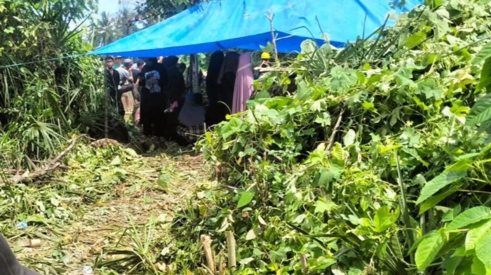 Premix Penggemuk Ayam Broiler di Banyuwangi - Tribun JualBeli Daun penggemuk ayam di Poleang Utara, Bombana