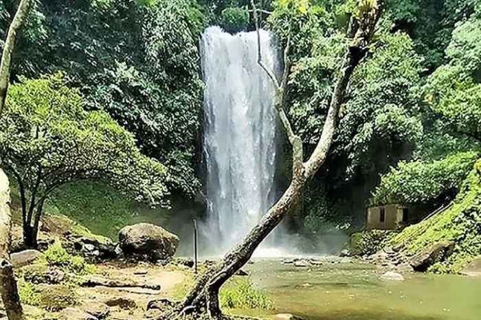 Logo Bungo (Kabupaten Bungo) Original Terbaru - rekreartive Logo Bungo (Kabupaten Bungo) Original Terbaru - rekreartive