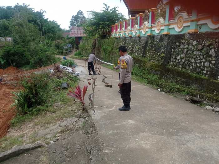 Daun penggemuk ayam di Gandangbatu Sillanan, Tana Toraja