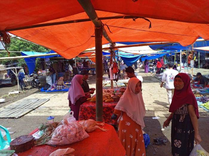 Ladang Uang Ternak Ayam Kampung, Modal Kecil, Peluang Menjanjikan