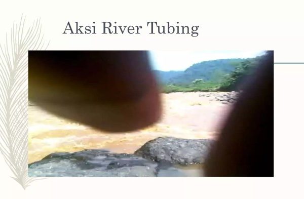 Daun penggemuk ayam di Brang Rea, Sumbawa Barat