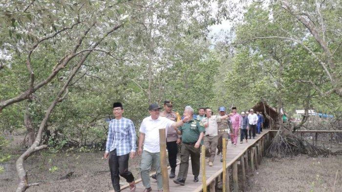 Hutan Mangrove Pantai Kelapa, Destinasi Wisata Baru di Tanjung Jabung ... Hutan Mangrove Pantai Kelapa, Destinasi Wisata Baru di Tanjung Jabung ...