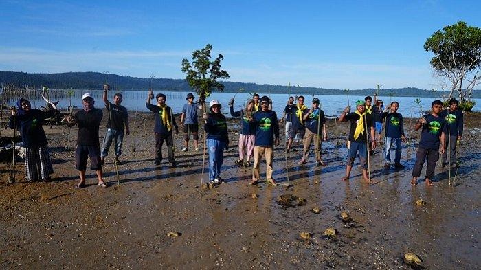 Zenith Sulawesi Cinta Alam Kendari Tanam 1.000 Bibit Mangrove di Teluk ... Daun penggemuk ayam di Kolono, Konawe Selatan