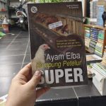 Ayam elba kampung petelur super di Cermee, Bondowoso