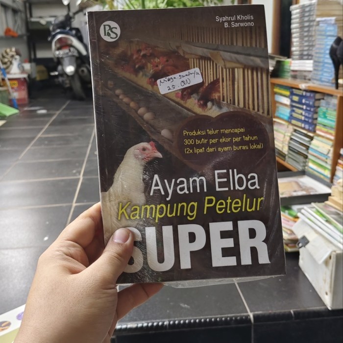 Ayam elba kampung petelur super di Batang Merangin, Kabupaten Kerinci