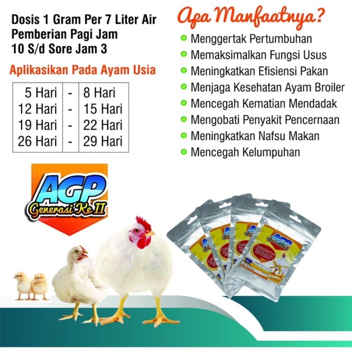 Daun penggemuk ayam di Nikogwe, Kab. Lanny Jaya