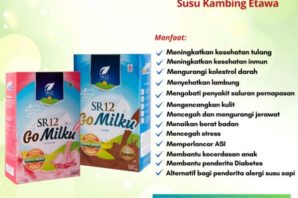 Susu kambing di Balong Panggang, Gresik