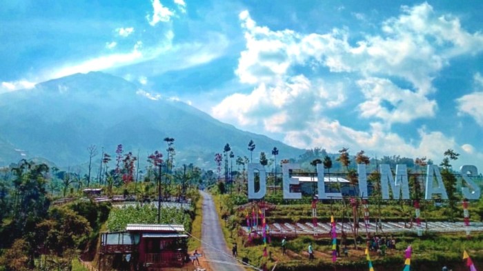 Ayam ternak di Windusari, Magelang
