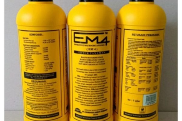 Em4 peternakan ayam di Sarilamak, Kabupaten Lima Puluh Kota