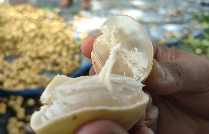 Daging kambing di Sirah Pulau Padang, Ogan Komering Ilir