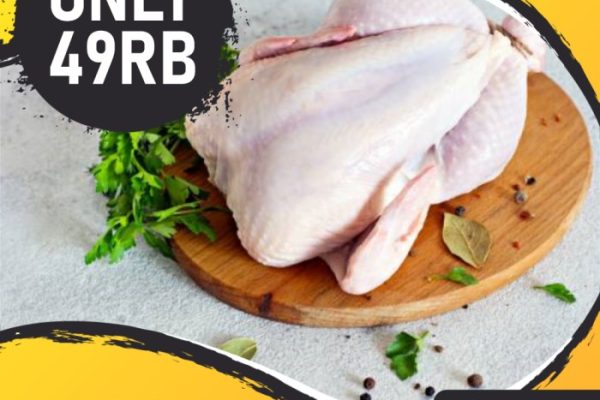 Jual Ayam Kampung Potong Atau Hidup Ayam Kampung Asli Fresh No Frozen ...