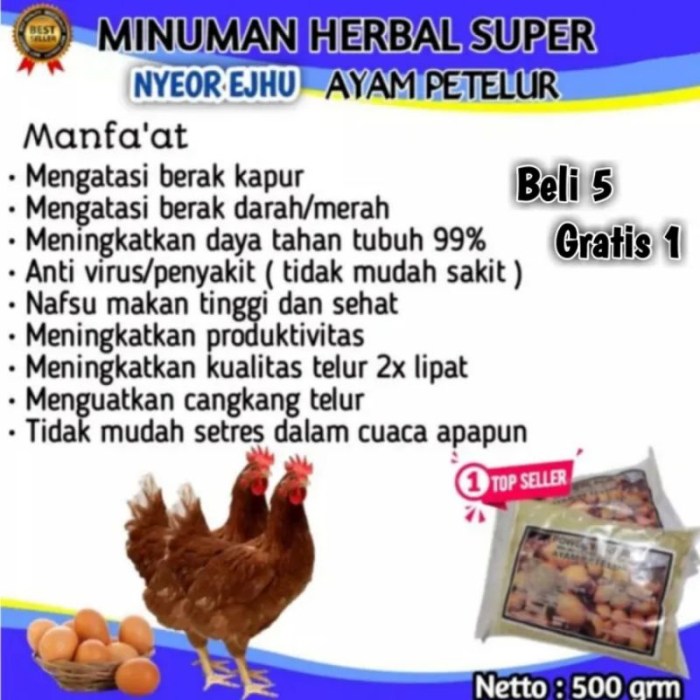 ayam petelur mojokerto jawa timur | Facebook